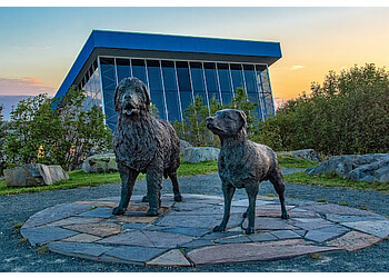 St Johns places to see Johnson Geo Centre