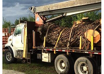 Blainville tree service Jolysarbres Inc. Blainville
