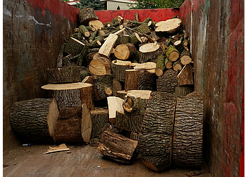 Brampton tree service Joshua Tree Contract Services