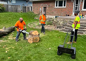 Joshua Tree Service - Brampton, ON Services d'arboriculteur - Tree Removal Image