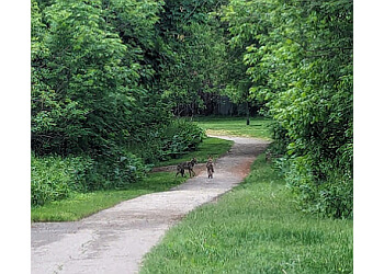 Oakville hiking trail Joshua's Valley Park