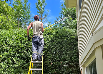 Journey Stump services - Whitby, ON Tree Services - Team Working Image