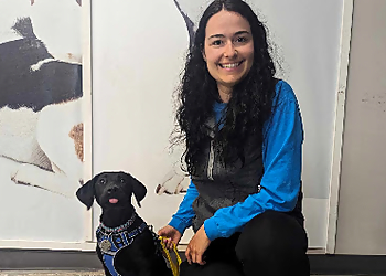 Joëlle Hamelin - Brossard, QC Dresseurs De Chiens