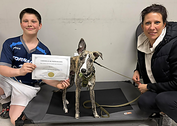 Joëlle Hamelin Saint Hyacinthe - Saint Hyacinthe, QC Dresseurs De Chiens - Pet Owner Image