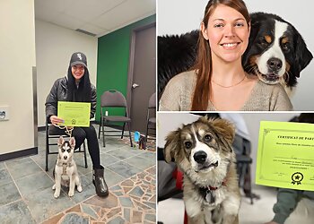 Longueuil dog trainer Joëlle Hamelin, intervenante en comportement canin