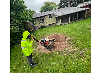 Stratford tree service Jp Tree