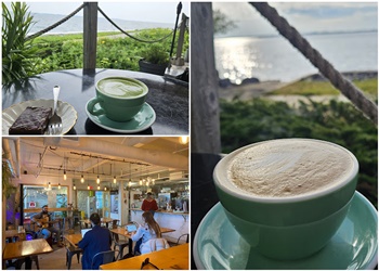 Kingston cafe Juniper Cafe