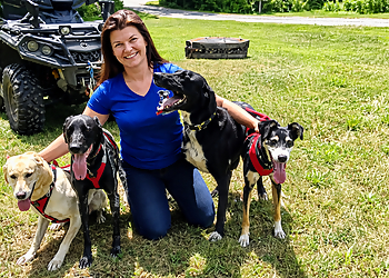 Just Four Paws - Belleville, ON Dog Walkers - Professional Highlights
