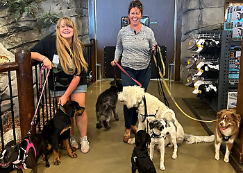 K9 Awareness - St Albert, AB Dog Trainers - Dog Trainer Image