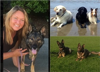 Burnaby dog trainer K-9 Best Behaviour Dog Training