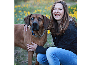 Kelowna dog trainer K9 Connection Pet Dog Training