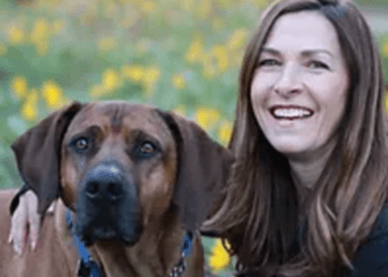 Kelowna Dresseurs De Chiens K9 Connection Pet Dog Training