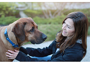 Kelowna dog trainer K9 Connection Pet Dog Training