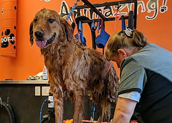 K9 Pet Spa - Waterloo, ON Salons de Toilettage Pour Animaux De Compagnie - Project Image
