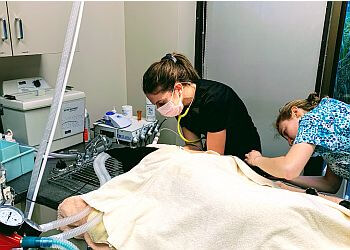 Kitchener veterinary clinic Kingsdale Animal Hospital