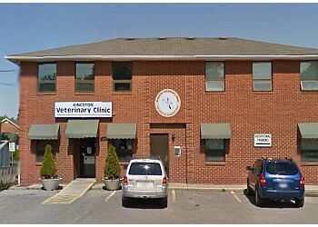 Kingston veterinary clinic Kingston Veterinary Clinic image 1