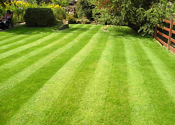 KW Lawn Mowing - Kitchener, ON Lawn Care Services - Job Site Image
