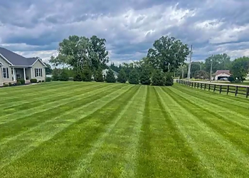 KW Lawn Mowing - Kitchener, ON Lawn Care Services - Service Highlights