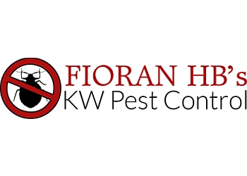 3 Best Pest Control in Kitchener, ON - Expert Recommendations