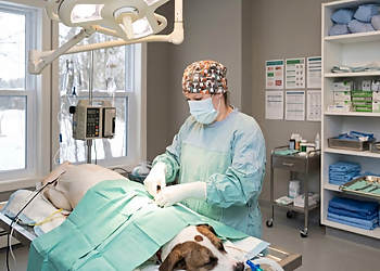 Kannon Animal Hospital - Saint John, NB Veterinary Clinics - Doctor With Patient Image