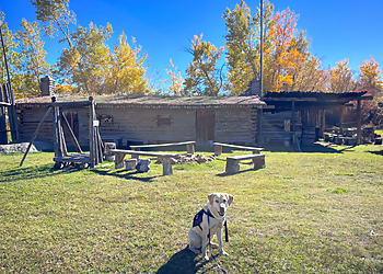 Karing Holmes - Red Deer, AB Dog Trainers - Dog Training Image