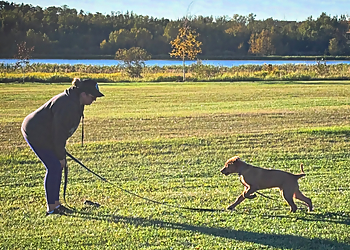 Karing Holmes - Red Deer, AB Dog Trainers - Dog Training Session Image