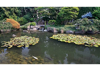 Kelowna places to see Kasugai Gardens