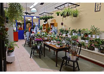 Kawartha Lakes florist Kawartha Lakes Classic Flowers & Gifts