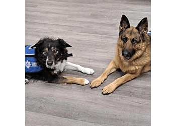 North Bay dog trainer Kean's K9