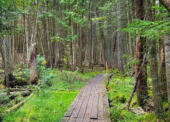 Kawartha Lakes hiking trail Ken Reid Conservation Area