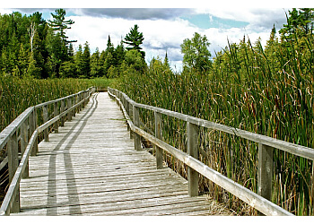 Kawartha Lakes hiking trail Ken Reid Conservation Area