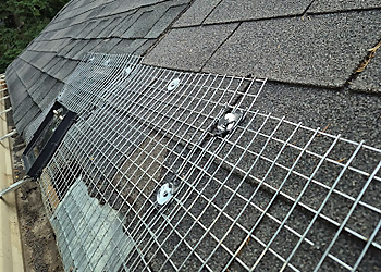 Richmond Hill pest control Kia Pest Control & WildLife Removal