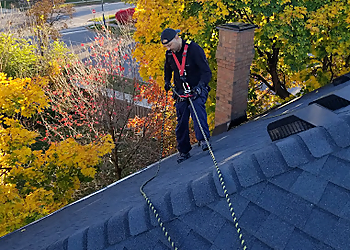 Richmond Hill pest control Kia Pest Control & WildLife Removal