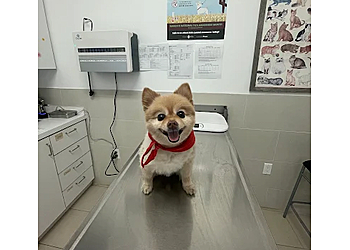 Markham veterinary clinic Kim Pet Hospital