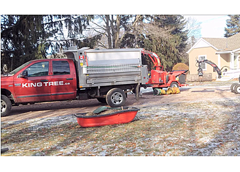 Cambridge Services d'arboriculteur King Tree Service