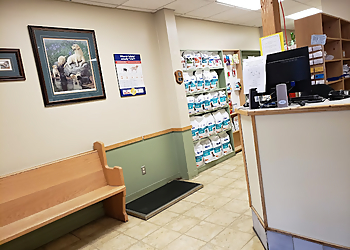 Kingston veterinary clinic Kingston Veterinary Clinic