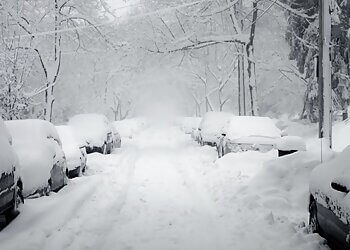 Oakville snow removal Kingsway Snowplowing & Lawn Maintenance