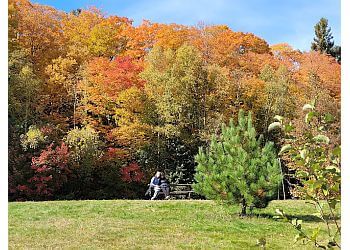 Sault Ste Marie public park Kinsmen Park