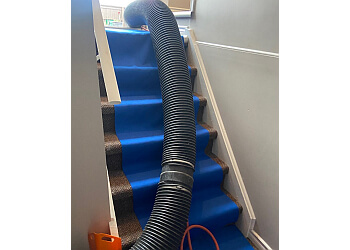 Sarnia Nettoyage De Tapis Klean and Brite