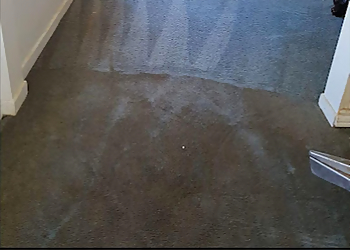Kleen Up Pros Kawartha Lakes - Kawartha Lakes, ON Carpet Cleaning - Carpet Cleaning Service Image