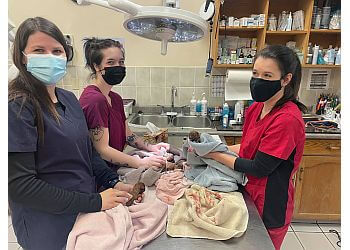 Sherwood Park veterinary clinic Lakeside Veterinary Clinic