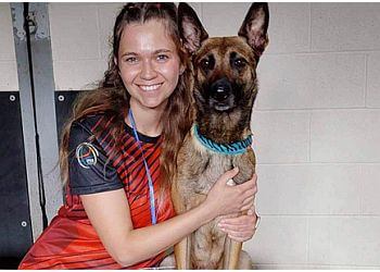 Regina Veterinary Clinics Lakewood Animal Hospital