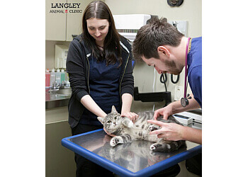 Langley veterinary clinic Langley Animal Clinic