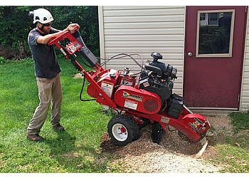 Gatineau tree service L'Ambassadeur de l'arbre Inc.