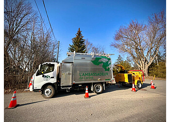 Gatineau tree service L'Ambassadeur de l'arbre Inc.