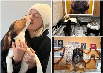 Coquitlam dog trainer LEASH Loft & Spa