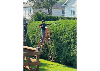 Levis tree service L'Haies Pro