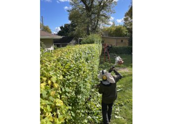 Levis tree service L'Haies Pro