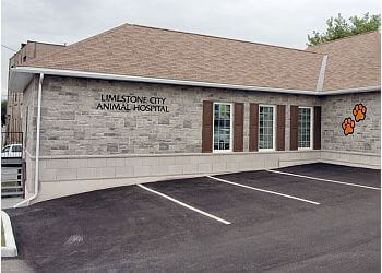 Kingston veterinary clinic Limestone City Animal Hospital image 1