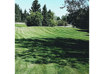 Sherwood Park lawn care service LLPS-Labrecque Landscaping & Property Services